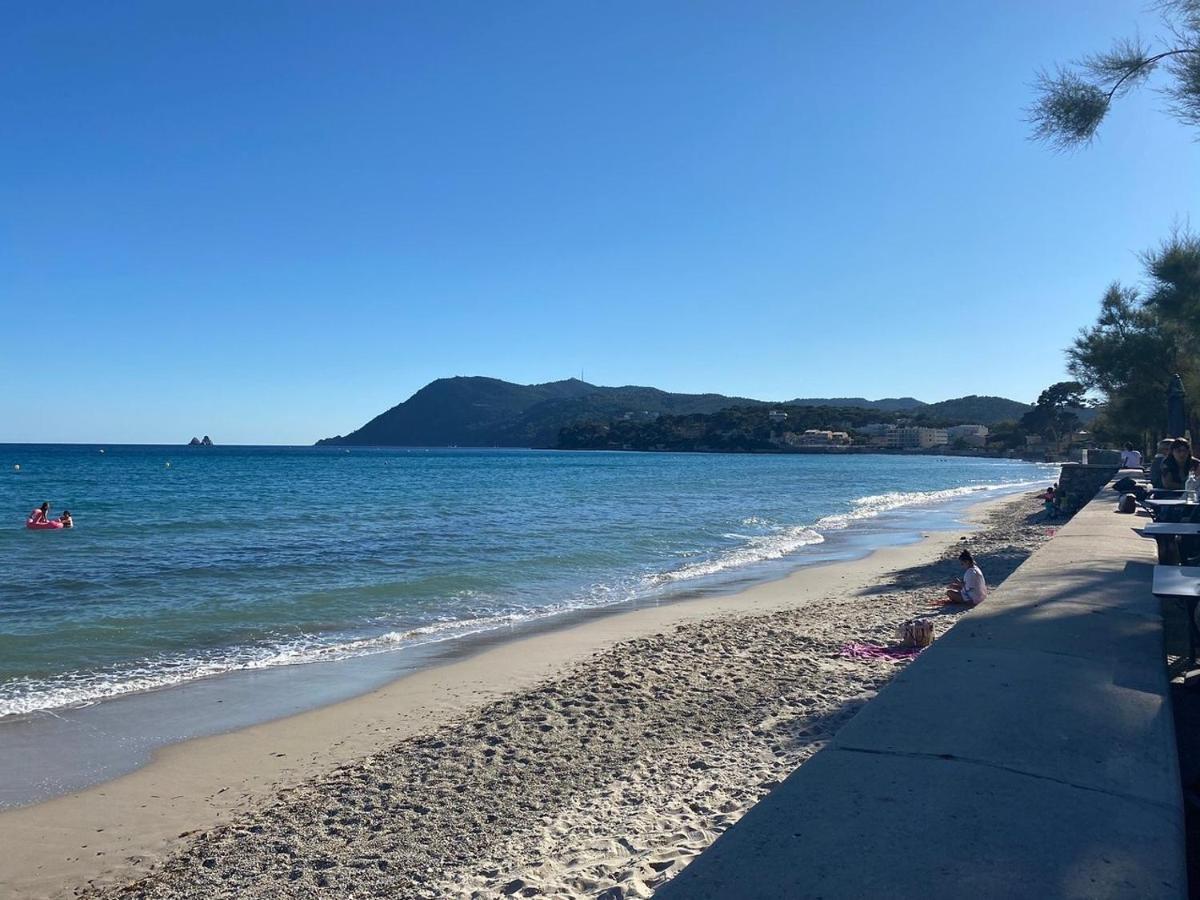 Appartement A 150 M De La Mer La Seyne-sur-Mer Dış mekan fotoğraf